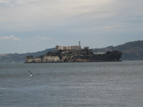 das berühmte Alcatraz.JPG