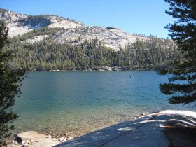 Yosemite Park.JPG
